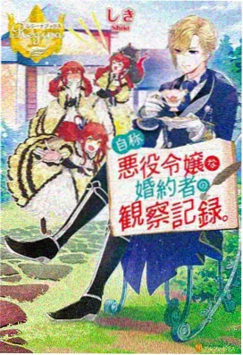 胜利女神角色图鉴 长发公主